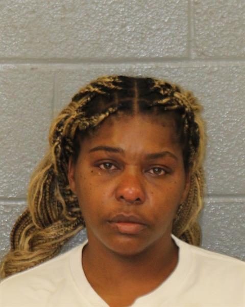 Mugshot of TIFFANY RENEE SPRINGS