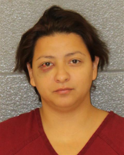 Mugshot of YELSI GABRIELA PALMA