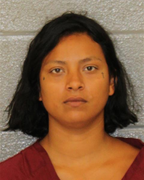 Mugshot of LITSY NICOLE PALMA