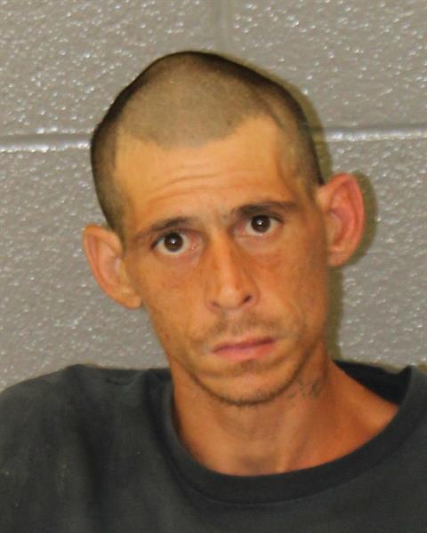 Mugshot of STEVE ALLEN WARLICK