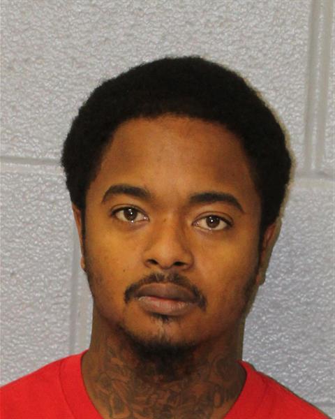 Mugshot of ERIC LEONARD BROWN