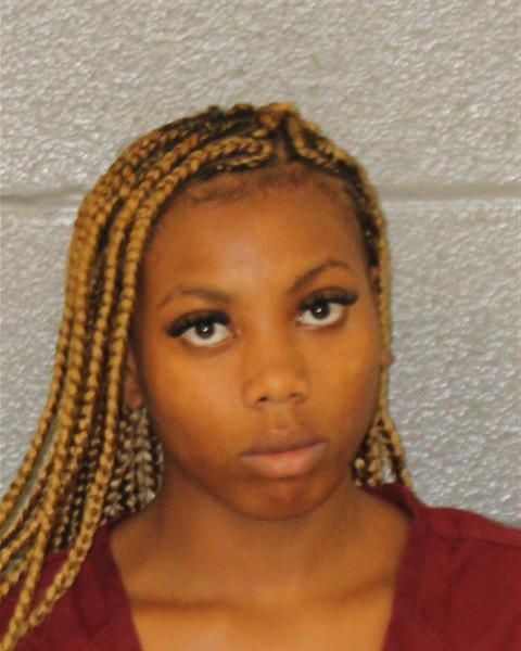 Mugshot of BROOKLYN RICHELLE DRIVER