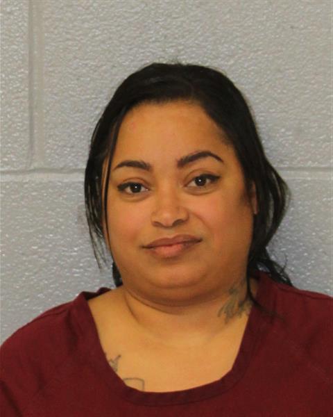 Mugshot of AALINA DICKSON