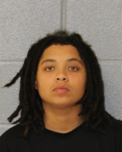 Mugshot of JADA NICOLE USSERY