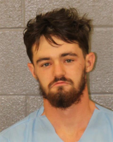 Mugshot of AUSTIN LEE DILLION