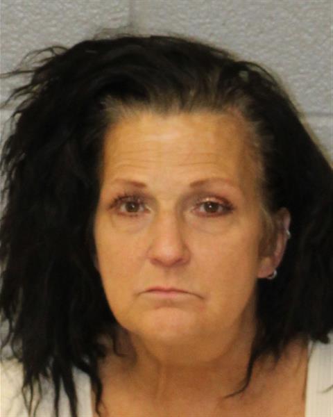 Mugshot of ANN MICHELE BEACHAM