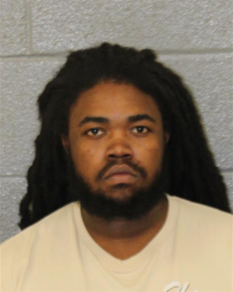 Mugshot of JA'QUAVIS DE'MARTYA YOUNG