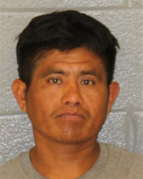 Mugshot of ADAN TELLEZ GONZALES