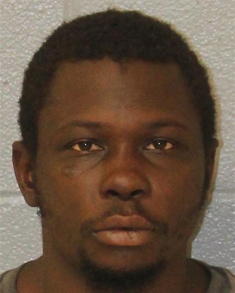Mugshot of MICHAEL JORDAN ROSS