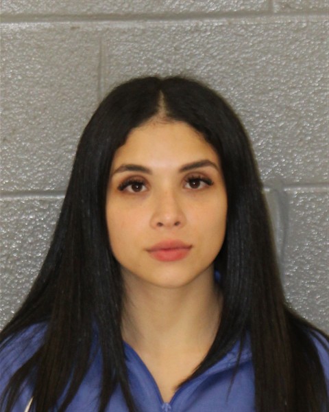 Mugshot of ROUSED BEATRIZ LEBRON-TORRE...