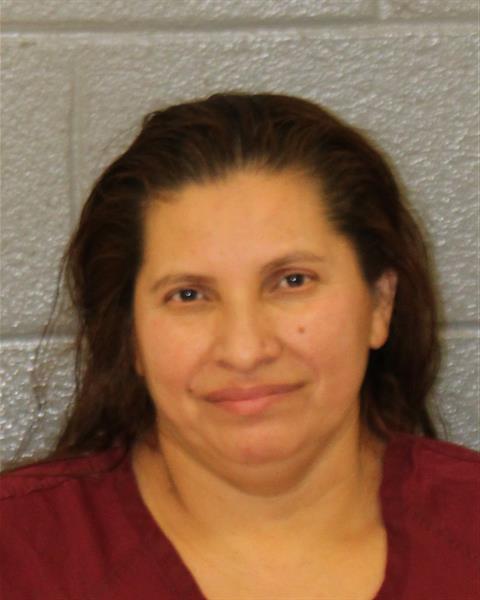Mugshot of ANAYANCY DEL-CARMEN GARCIA