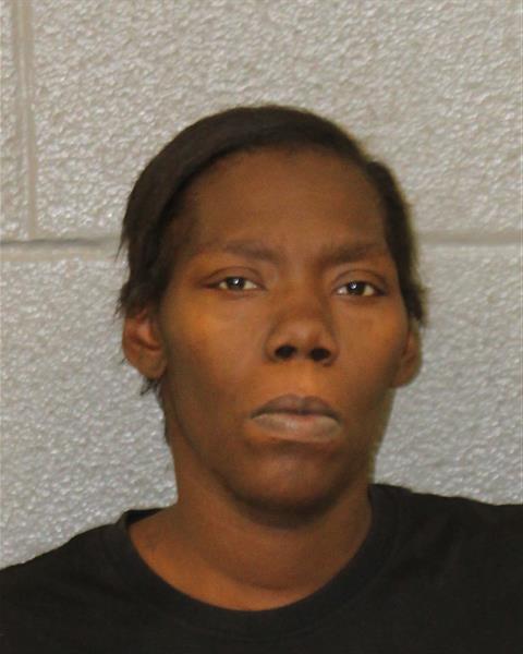 Mugshot of LISA NICOLE HOPE
