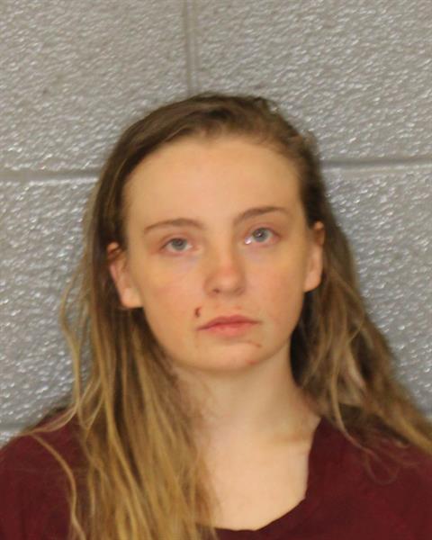 Mugshot of SHIRLEY FRANCINE BROOKS
