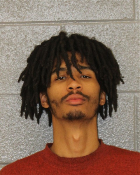 Mugshot of JAREECE BREEDEN