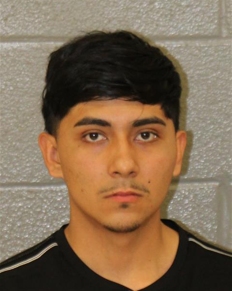Mugshot of LUIS ANGEL MARTINEZ-ROJ...