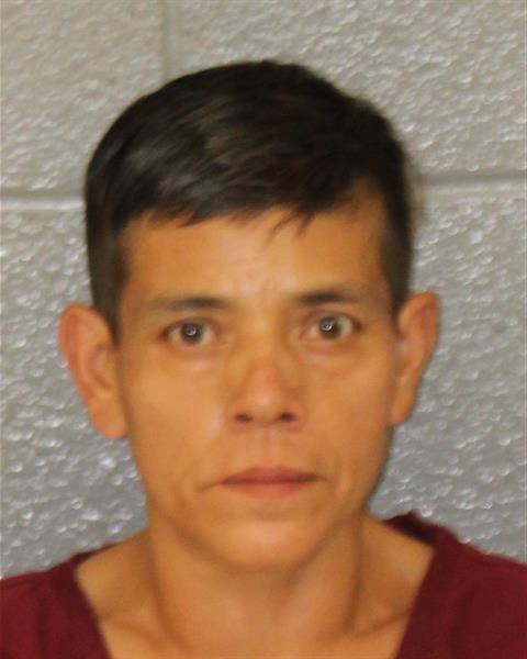 Mugshot of BLANCA ALEGRIA