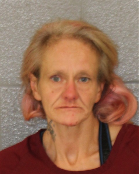 Mugshot of SHANA TAH MULLINS