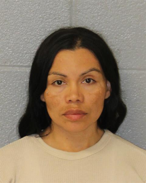 Mugshot of MARIA DE JESUS ELIZONDO ZUN...