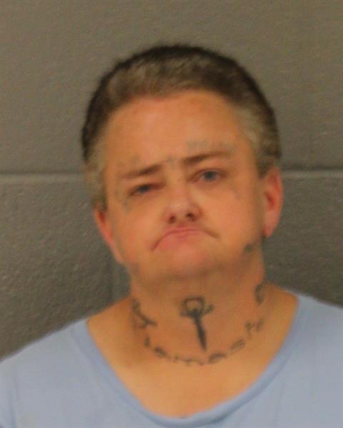 Mugshot of ASHLEY DYAN ARNOLD