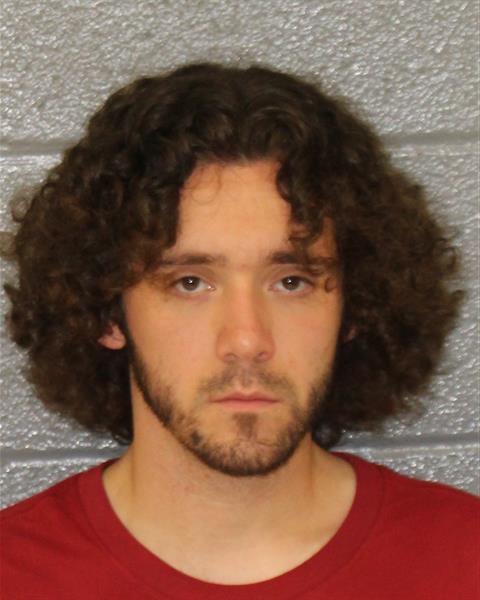 Mugshot of DARRYN VICTOR PALMARES