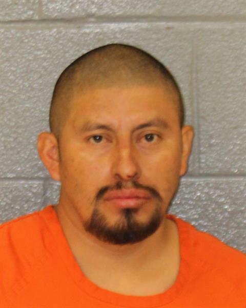 Mugshot of PILLAR CASTILLO