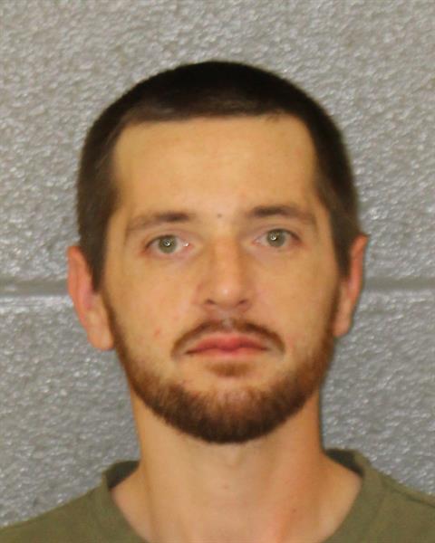 Mugshot of DERYL WEBB