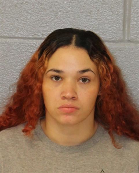 Mugshot of BRITTNEY SHIAN LOCKLEAR