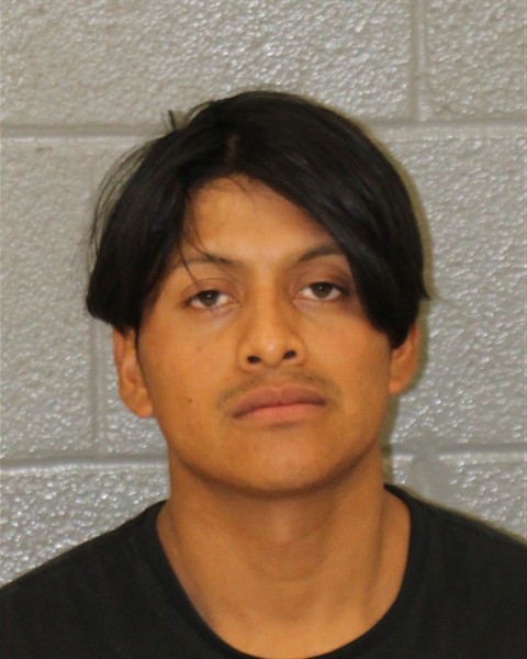 Mugshot of EDRAS MAGIN ELVIR-VALLES...