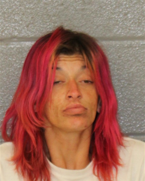 Mugshot of ABAIGAIL MARINA FOWLER