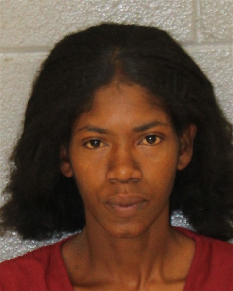 Mugshot of SHARON DIANE FORD
