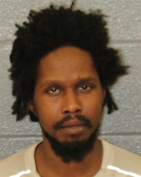 Mugshot of TORIAN ANTOINE JOHNSON