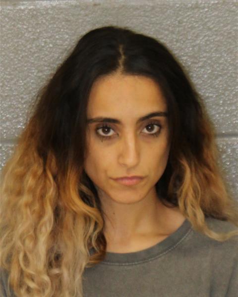 Mugshot of LAILA TAREQ GHNIEM