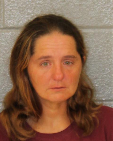 Mugshot of ANNA BROOKE BRIDGEMAN