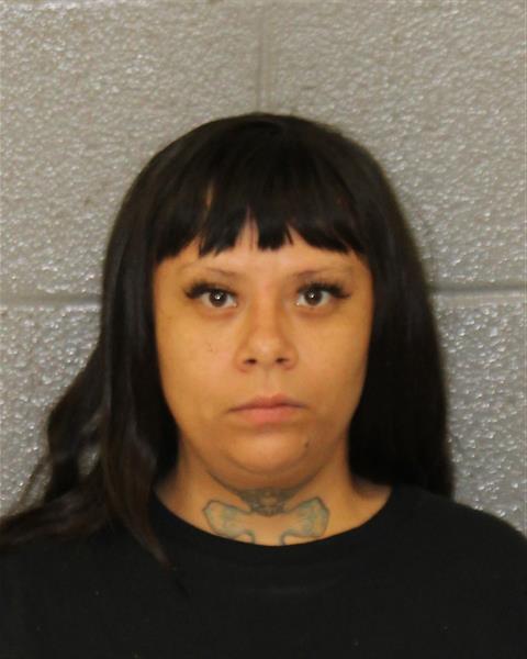 Mugshot of MARIANY CASTILLO