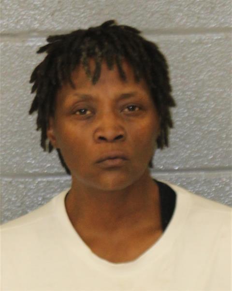 Mugshot of JAN TINA PENLAND