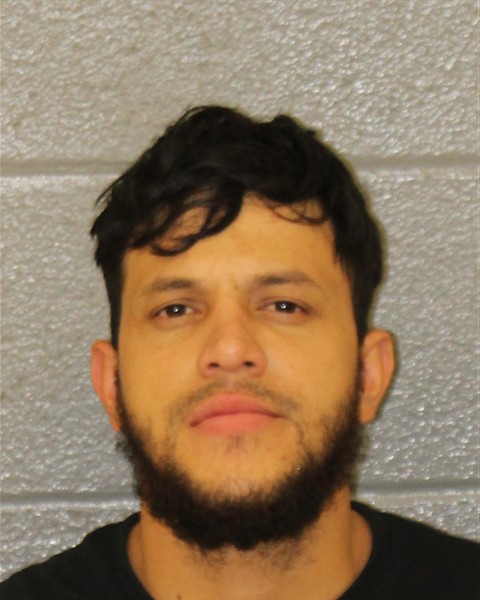 Mugshot of WILFER ALEXANDER GALO
