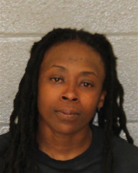 Mugshot of APRIL LAKEISHA WELLS