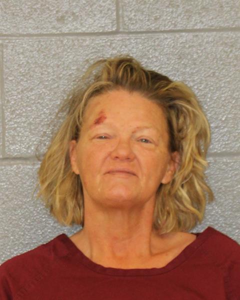 Mugshot of TERESA MARIE INGERSOLL