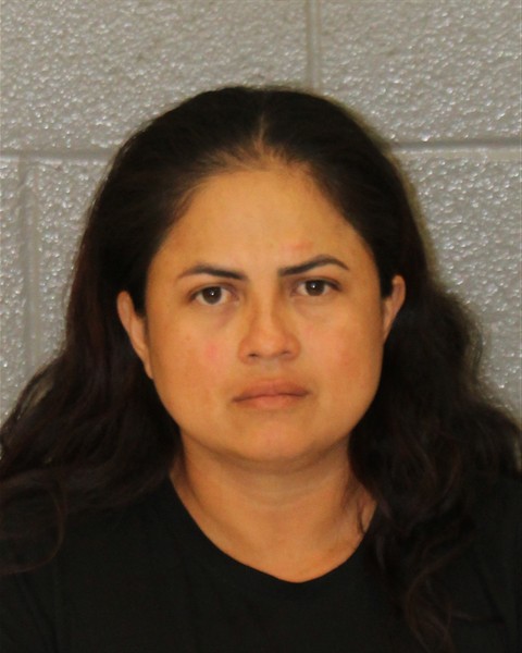 Mugshot of DAMASENIA LANDERO-ESPI...