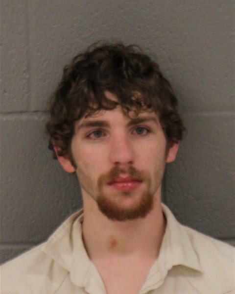Mugshot of WAYLON MORGAN