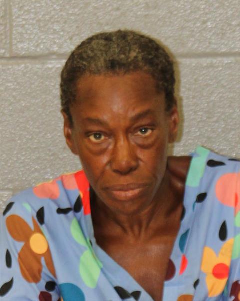 Mugshot of MICHELLE COOKE
