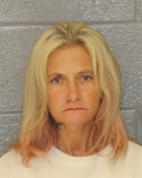 Mugshot of DANIELLE VICTORIA BARNES