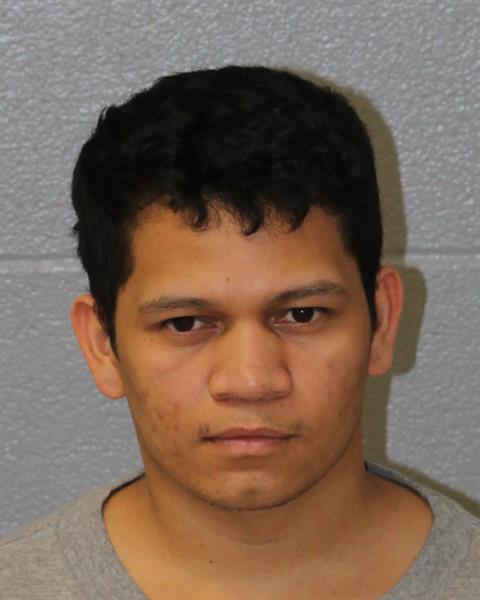 Mugshot of FELIX MEJIA