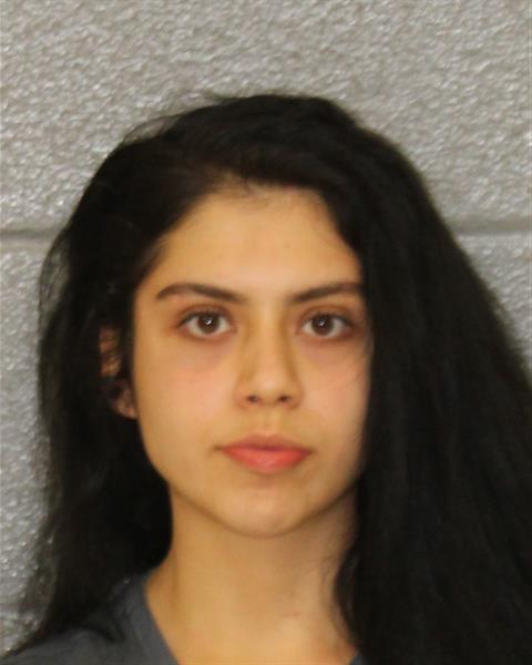 Mugshot of JIMENA FLORES-FIGUE...
