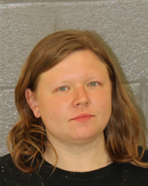 Mugshot of AMANDA KOZLOWSKI