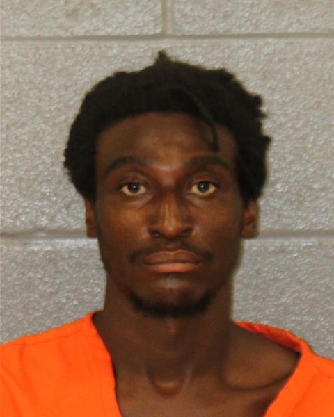 Mugshot of JOEL FRANCIS BASS