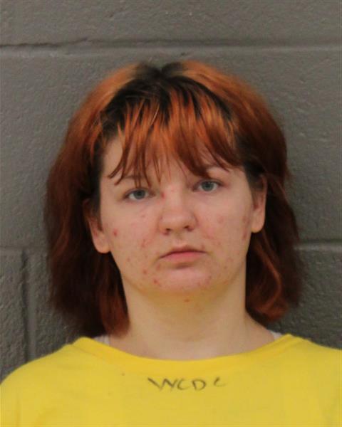 Mugshot of DESTINY MARIE COLEMAN