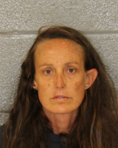 Mugshot of JAMI JEAN NORTH