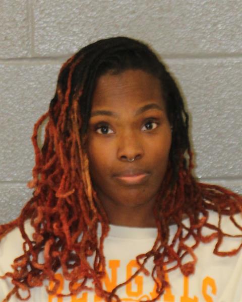 Mugshot of APRIL ARNETTA WILLIAMS