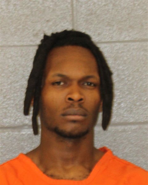Mugshot of RAPHAEL HENRY-BRICE BIKAI